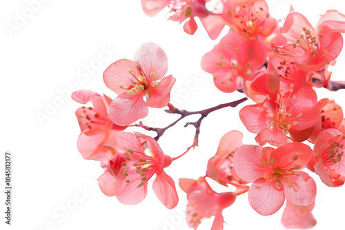 Enjoy a Vibrant Summer Picnic. Fun and colorful summer picnic concept