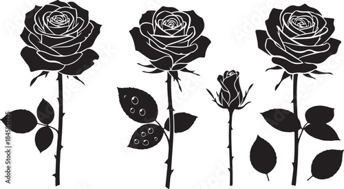 Detailed Black Roses with Stem and Dew Drop Effect