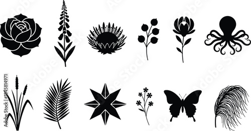 Nature silhouette icon set, rose foxglove protea magnolia octopus butterfly feather, botanical vector design, black graphic elements collection