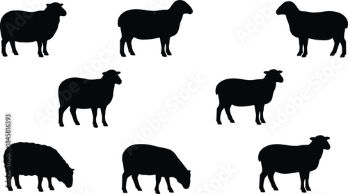Silhouette collection of sheep in various poses including standing, grazing, and side-view farm animals for agricultural, rural, and livestock design projects.