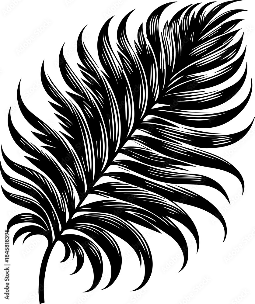 Fototapeta premium Elegant Tropical Palm Leaves Silhouette Design
