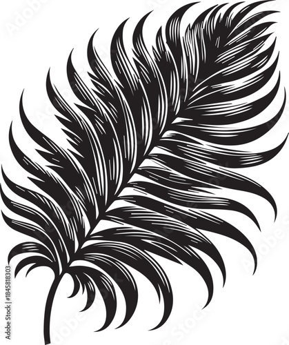 Elegant Tropical Palm Leaves Silhouette Design