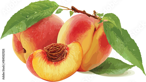 Fresh Peach Halved with Green Leaves Vector Illustration