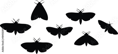 Black moth silhouettes on transparent background isolated on transparent background