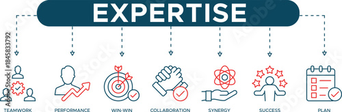 Expertise and Mastery Icons Professional Skills, Intellectual Capital and Consulting Proficiency Symbols
