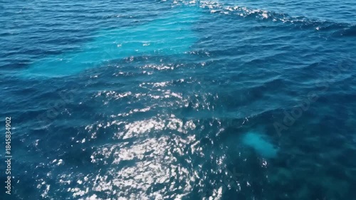 Wallpaper Mural Turquoise Ocean Surface With Glittering Sunlight Reflection and Gentle Ripples Torontodigital.ca