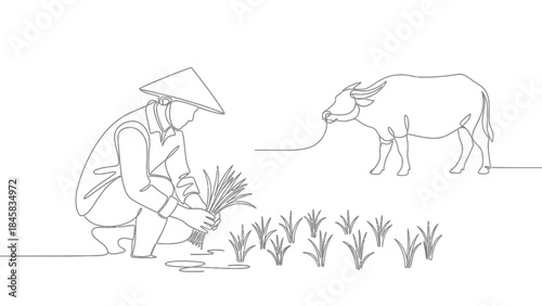 Continuous line drawing of Asian farmer planting rice with a water buffalo in the field, representing traditional agriculture and rural life.