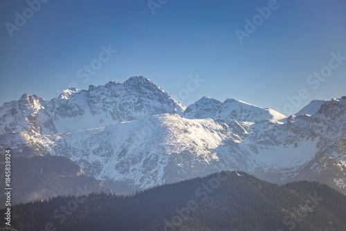 Fototapeta Naklejka Na Ścianę i Meble -  Tatra Mountains above Zakopane town in Poland, Europe. Majestic snow-covered mountain range against a clear blue sky, showcasing the beauty of winter landscape with forested hills below.