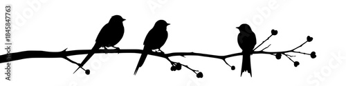 Three Birds Silhouette on Tree Branch, Minimal Nature Illustration
