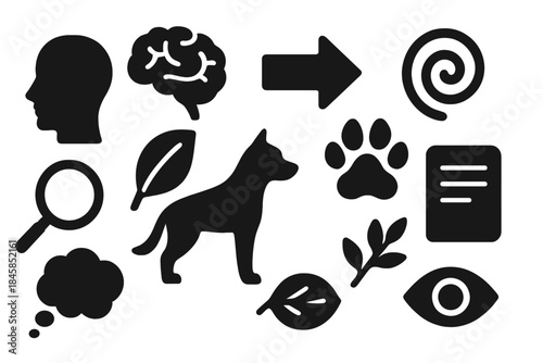 Cognitive Ecology Icons. Solid style icons of cognitive ecology and animal behavior: human silhouette, brain, arrow, spiral,