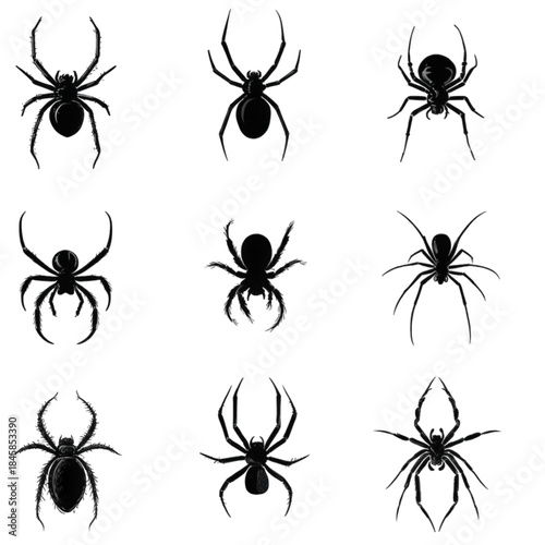 Set of nine black spider silhouettes isolated on white.