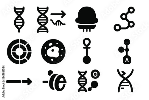 Molecular Biology Icons. Solid style icons of Molecular Biology: RNA strand, transcription process, ribosome, protein chain, codon