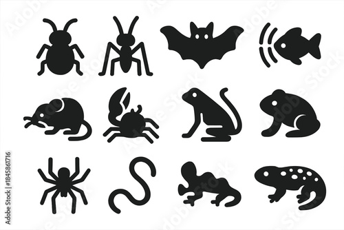 Extreme Animal Adaptations. Solid style icons of Extreme Adaptations: Antennae Creature, Long Limb Insect, Wide Wing Bat,