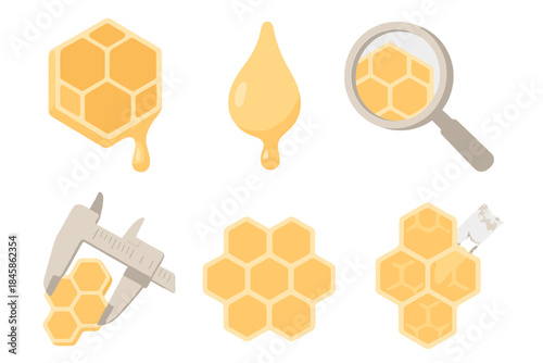 Honeycomb Study Icons. Isometric vector illustration set Honey Structure Study: honeycomb section diagram, dripping wax detail,