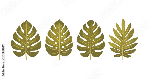 Set of four stylized tropical monstera and palm leaves in olive green