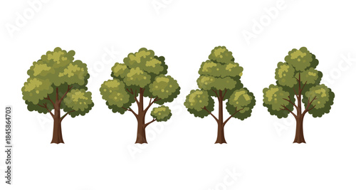 Collection of four stylized green trees with brown trunks on a white background