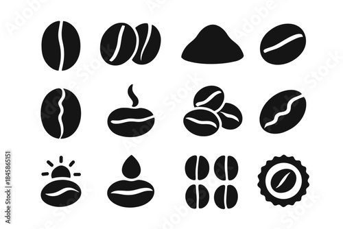 Medium bit icon bean shell coffee vector density whole process dry