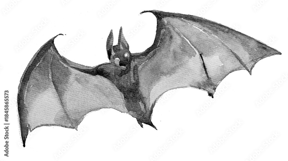 Obraz premium Bat illustration isolated on a white background.