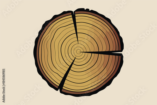 Tree Trunk Cross-Section with Growth Rings