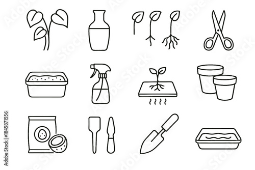 Snipping atomizer tray vase vector coir root philodendron plant indoor icon seedling