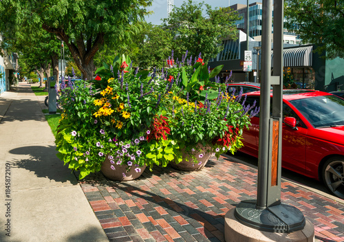 Large planters filled with beautiful flowers sit on a city street sidewalk at Cherry Creek North an upscale shopping and dining area in Denver, Colorado.