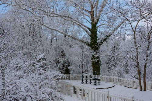 The First Snow of the Year, Towson MD