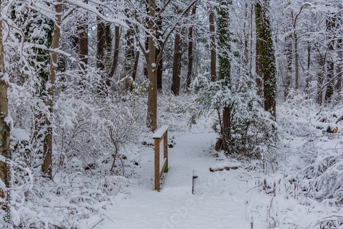 Crossing the Bridge in the Snow, Towson MD