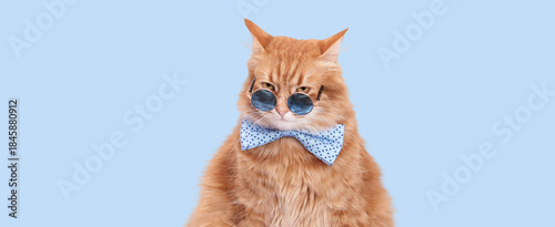 Cool ginger cat wearing round sunglasses and a blue bow tie on light blue background. Stylish studio pet portrait perfect for memes, advertising, branding, social media and playful creative projects.