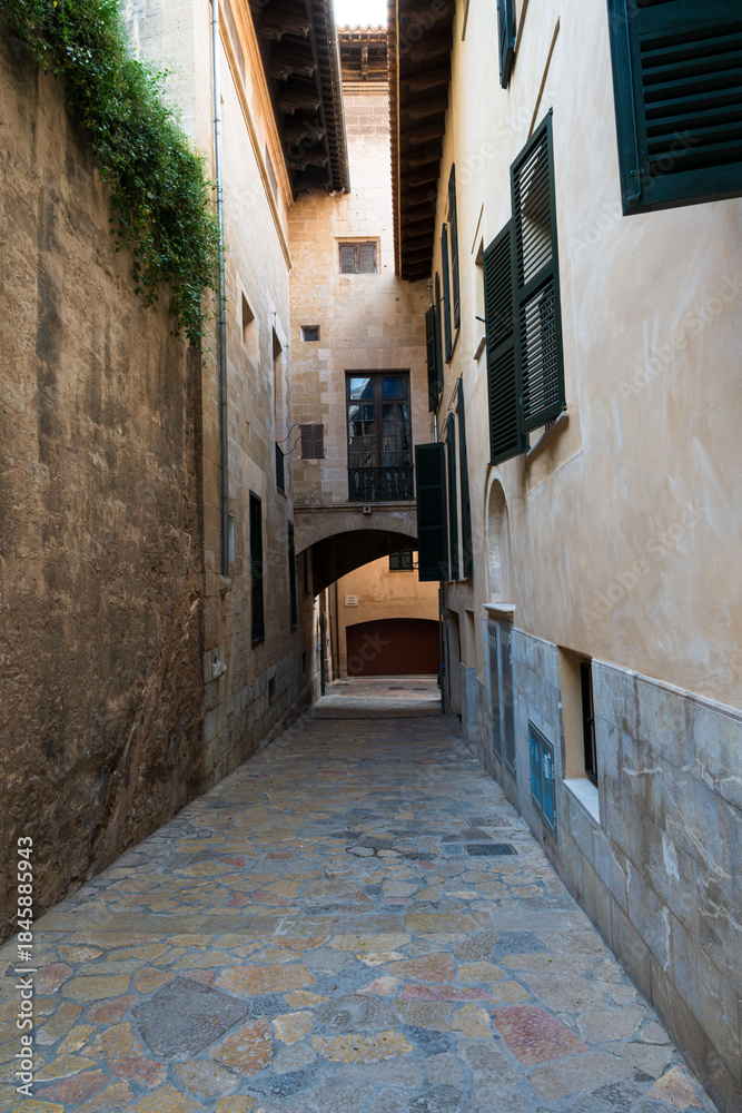 Fototapeta premium Narrow Mediterranean old town street with stone buildings, plants and cobblestone pavement.