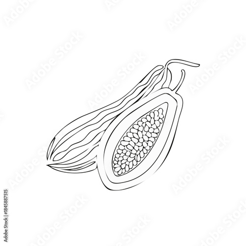 Papaya fruit whole and cut in half line art vector drawing for coloring page or book