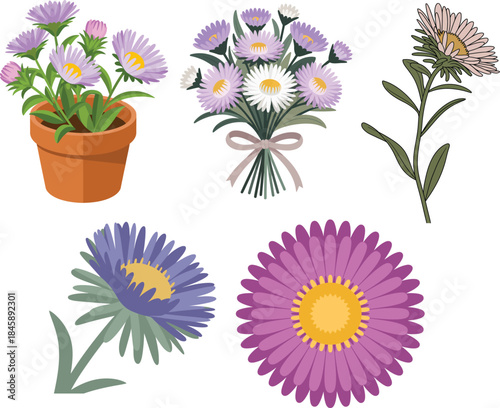 Aster flower collection in pots bouquets and single blooms set