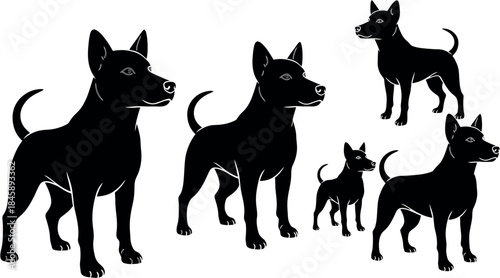 Silhouette of doberman dogs in various poses