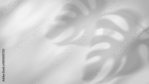 Realistic tropical foliage silhouette with soft sunlight overlay on white, ideal for summer poster layouts, nature-inspired banners, and transparent design templates