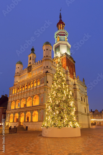 Christmas tree at Poznan Town Hall, Poznan, Poland