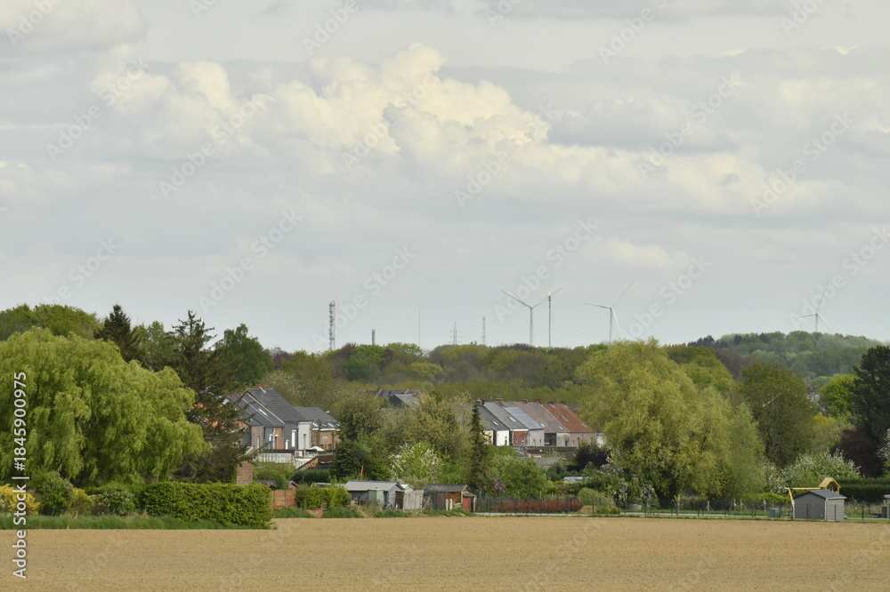 Fototapeta premium Terrain labouré devant une zone boisée sous un ciel pâle à Écaussinnes-d'Enghien (Soignies) 