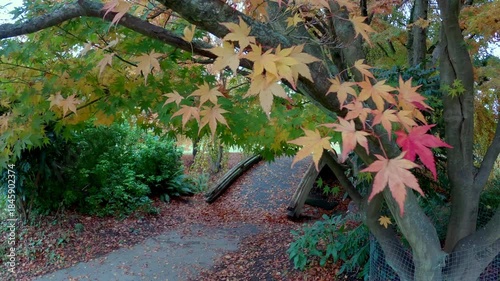 Vanier Park Autumn Leaves Vancouver 4K UHD.An arched bridge on one of the trails in Vanier Park, Vancouver. 4K, UHD.
