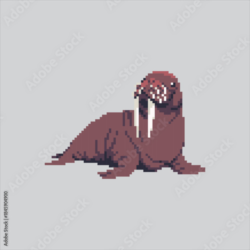 Pixel art illustration Arctic Walrus. Pixelated Walrus Animal. Arctic Walrus Animal Icon pixelated for the pixel art game and icon for website and video game. old school retro.