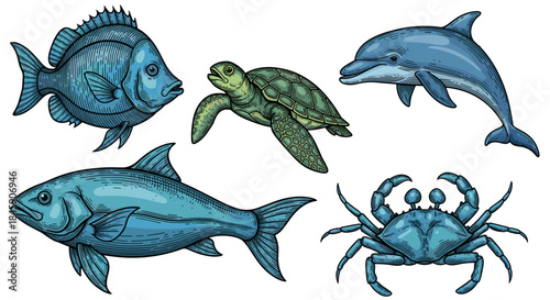 Sea animals illustration set with fish, sea turtle, dolphin and crab, cartoon style
