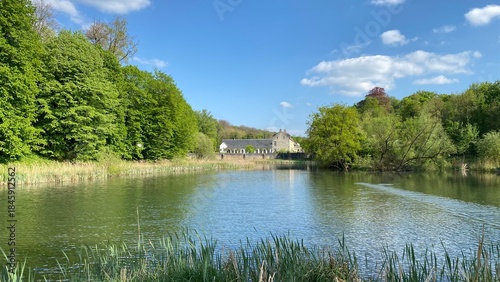 Beauté du printemps à la forêt de Soignes aux étangs de l'abbaye du Rouge-Cloître à Auderghem (Bruxelles Capitale Région )
