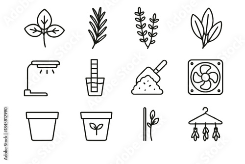 Vector adjustable liner test pot indoor rosemary stem rack icon fan herb