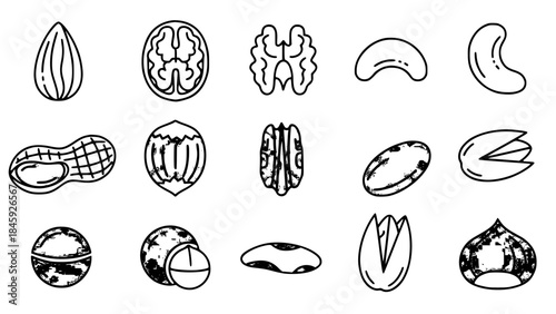 Assorted nut outlines present diverse shapes in a simple illustration showcasing various nuts on white backdrop food artwork