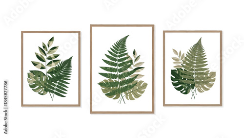 Set of three framed botanical prints featuring various green tropical leaves like ferns and monstera on a white background, perfect for home decor.