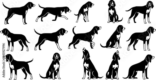 American foxhound dog silhouettes, American foxhound silhouette, American foxhound, American foxhound vector