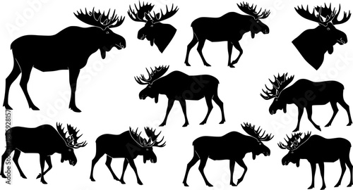 Moose silhouettes, Moose silhouette
