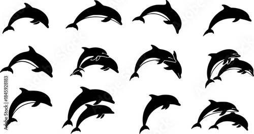 Dolphin silhouettes, Jumping dolphins silhouette, Dolphin vector