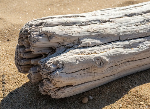 Weathered White Driftwood Log on Sandy Beach With Textured Grain and Sunlit Ripples Detailed Closeup