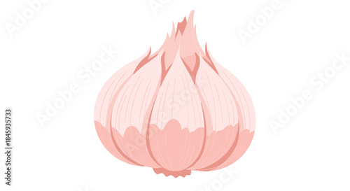 Stylized illustration of a whole garlic bulb in soft pink and white tones, presented in a clean, modern, and artistic style on a white background.