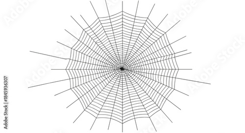 Symmetrical and geometric black line art illustration of a classic spider web, isolated on a clean white background for design.