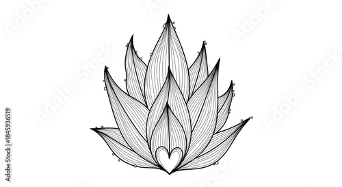 A beautiful and intricate black and white line art illustration of a succulent or lotus flower with a heart at its base.
