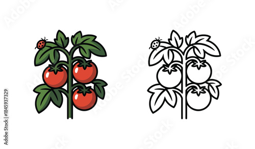Cherry Tomato Plant with Ladybug Illustration for Agriculture and Gardening